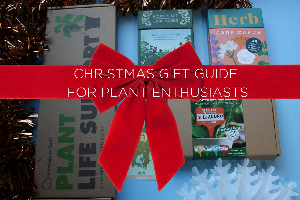 Christmas Gift Guide for Plant Enthusiasts