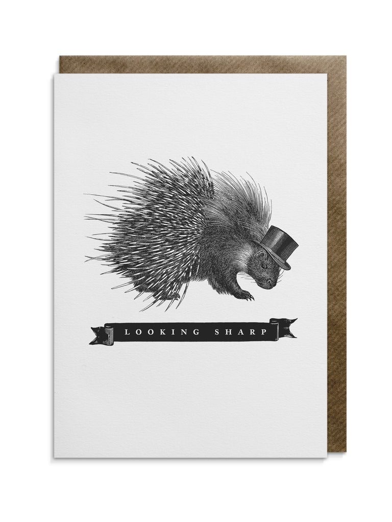 Greetings card by Divine Savages with the words 'Looking sharp' supplied with a brown kraft envelope and cello wrap.  Click to shop now at Eclectic Hound. 
