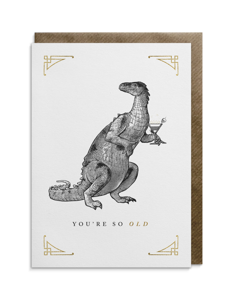 Greetings card by Divine Savages with the words "You're so old" supplied with a brown kraft envelope and cello wrap. Click to shop now at Eclectic Hound. 